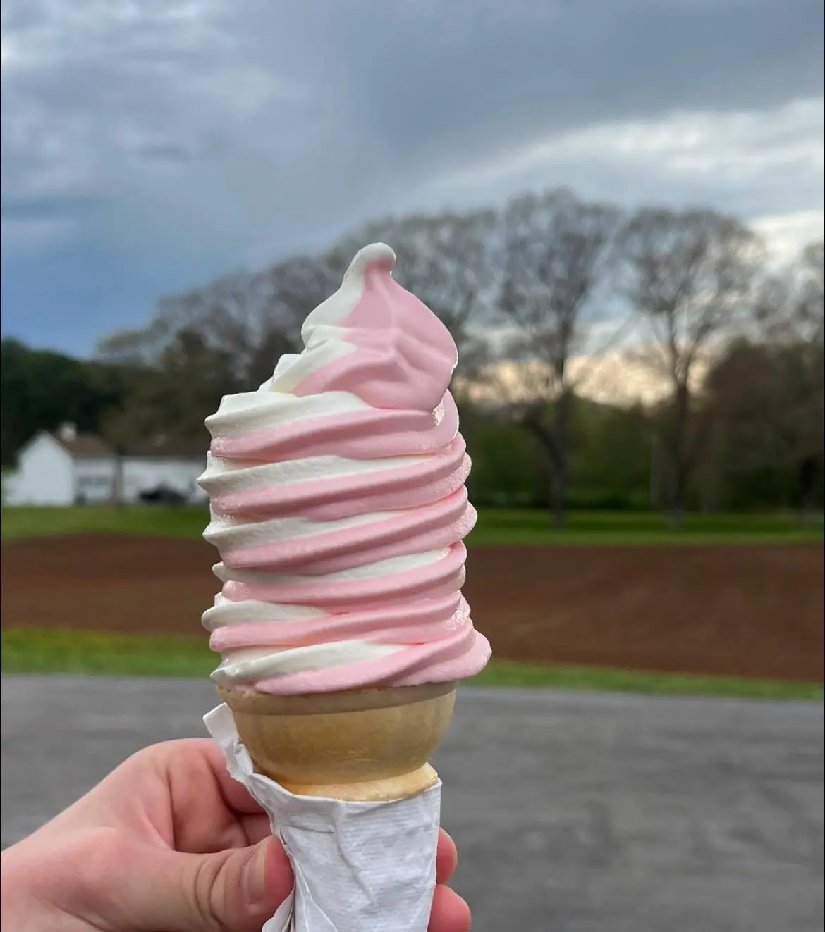 Vanilla waffle cone