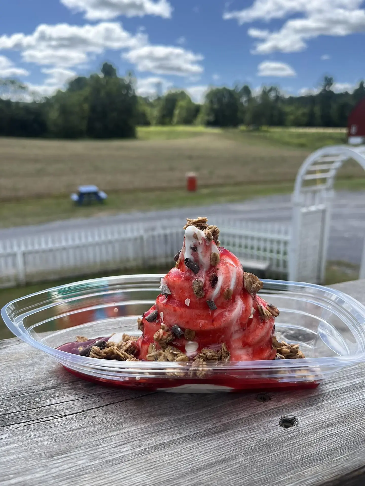 Vanilla cone