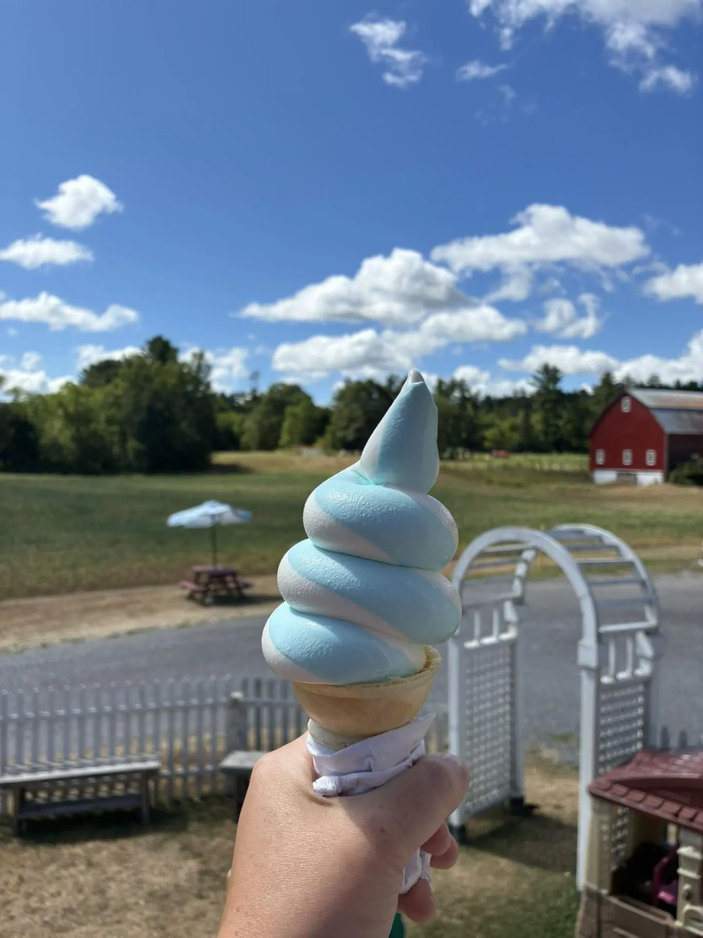Chocolate/vanilla twist